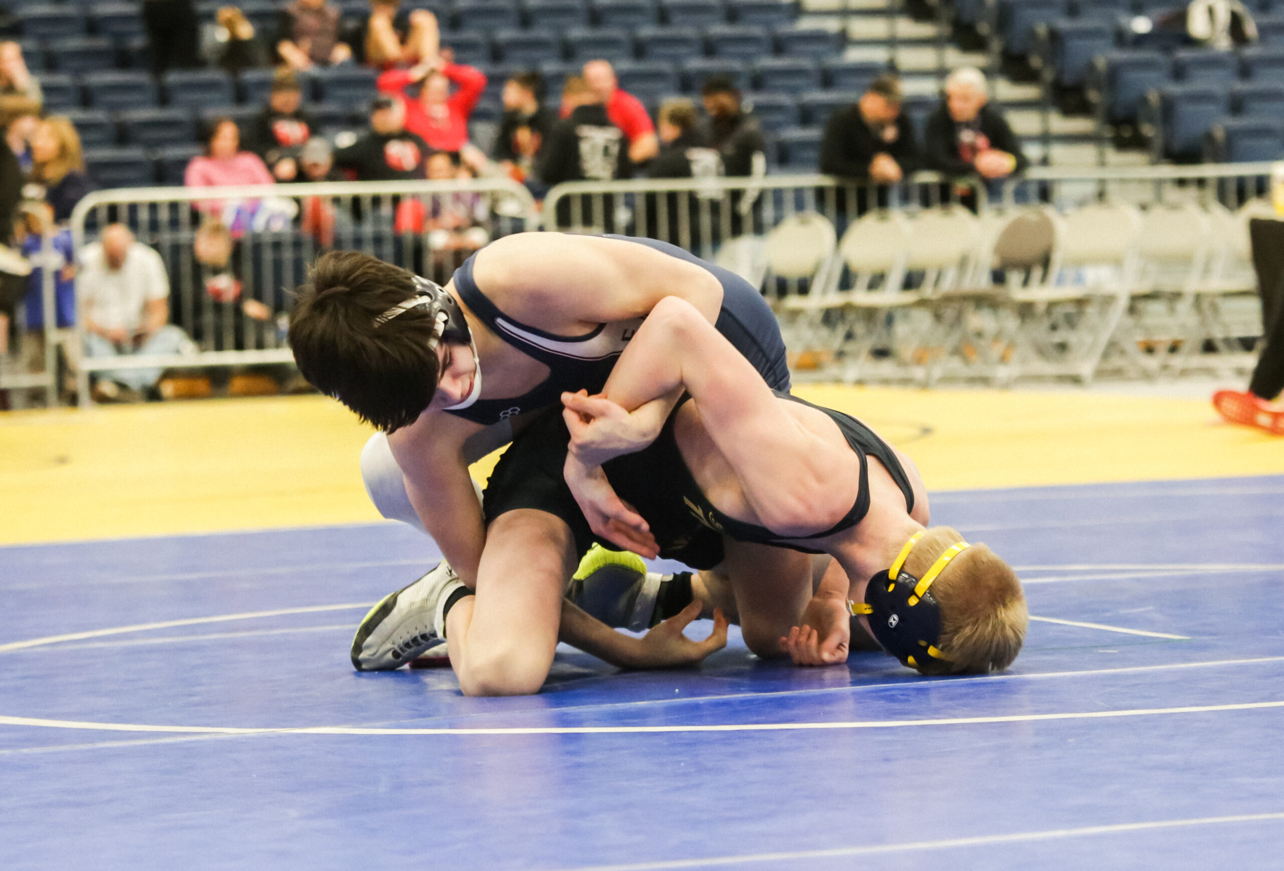 Tioga Too Tough For T’Birds News, Sports, Jobs Post Journal